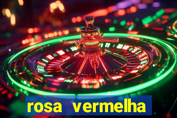 rosa vermelha (letra e cifra)